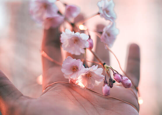 Japanese Manicure